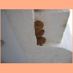 PICT005.jpg