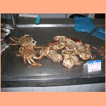 PICT013.jpg