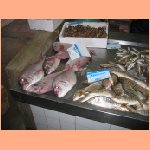 PICT015.jpg