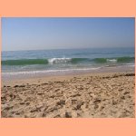 PICT006.jpg
