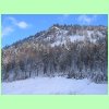 IMG_0807.JPG